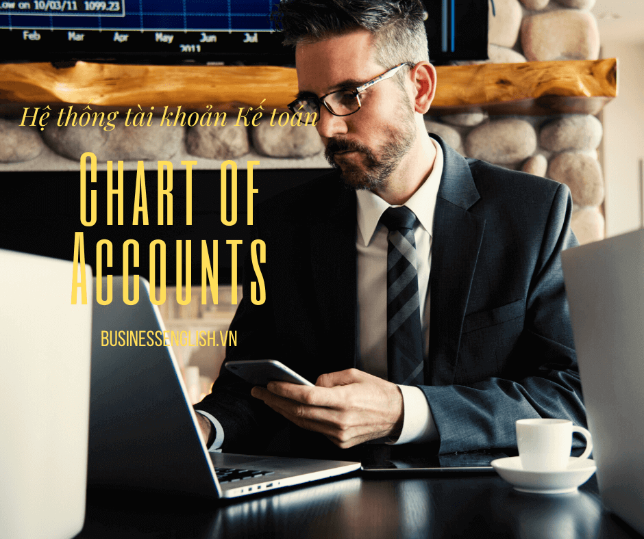 Hệ thống tài khoản Kế toán Việt Nam bằng tiếng Anh – Chart of Accounts under the Vietnamese Accounting System
